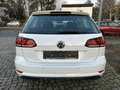 Volkswagen Golf VII Variant TDI Automatik Weiß - thumbnail 5