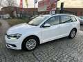 Volkswagen Golf VII Variant TDI Automatik Weiß - thumbnail 1