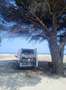 Ford Transit Bus Ford Transit Camper TÜV neu 6 Sitzplätze Blanco - thumbnail 5