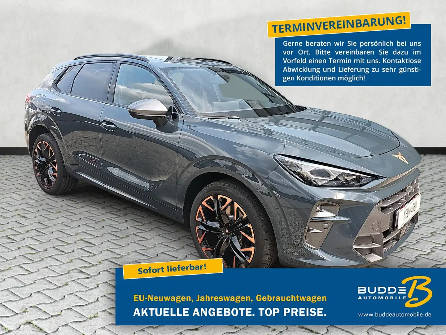 CUPRA Terramar VZ 2.0 TSI DSG 4Drive Matrix Pano Leder Blau - 1