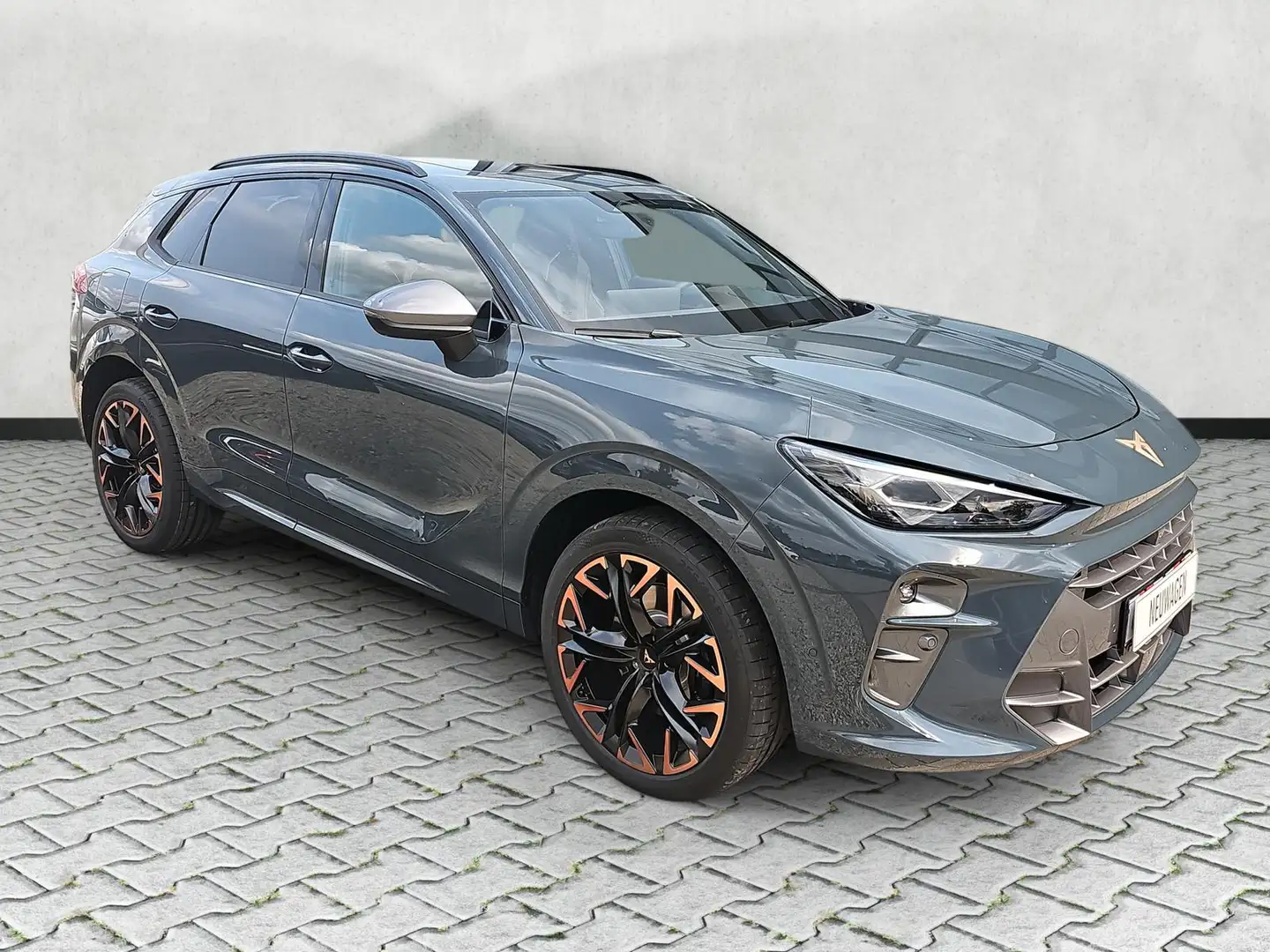 CUPRA Terramar VZ 2.0 TSI DSG 4Drive Matrix Pano Leder Blau - 2