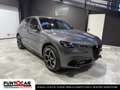 Alfa Romeo Stelvio Stelvio 2.2 Turbodiesel 210 CV AT8 Q4 Veloce - thumbnail 3
