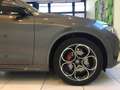 Alfa Romeo Stelvio Stelvio 2.2 Turbodiesel 210 CV AT8 Q4 Veloce MY21 Grigio - thumbnail 10