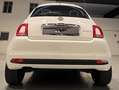 Fiat 500 1.0 hybrid Club 70cv Weiß - thumbnail 5