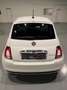 Fiat 500 1.0 hybrid Club 70cv Weiß - thumbnail 4