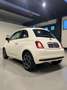 Fiat 500 1.0 hybrid Club 70cv Weiß - thumbnail 3