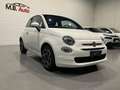 Fiat 500 1.0 hybrid Club 70cv Weiß - thumbnail 8