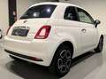 Fiat 500 1.0 hybrid Club 70cv Weiß - thumbnail 6