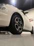 Fiat 500 1.0 hybrid Club 70cv Weiß - thumbnail 35