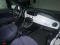 Fiat 500 1.0 hybrid Club 70cv Weiß - thumbnail 13