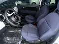 Fiat 500 1.0 hybrid Club 70cv Weiß - thumbnail 12