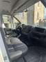 Peugeot Boxer pegueto bixer - thumbnail 4