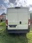 Peugeot Boxer pegueto bixer - thumbnail 3