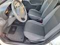 Fiat New Panda 1.1 8V Active Wit - thumbnail 3