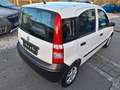 Fiat New Panda 1.1 8V Active Wit - thumbnail 11