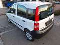 Fiat New Panda 1.1 8V Active Wit - thumbnail 2