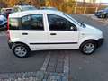 Fiat New Panda 1.1 8V Active Wit - thumbnail 14
