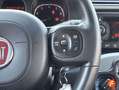 Fiat Panda City Life Hybrid 1.0 Gse 51kw (70CV) Negro - thumbnail 16