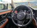 Subaru OUTBACK 2.5i Lineartronic Premium Blu/Azzurro - thumbnail 13