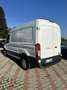 Ford Transit Bianco - thumbnail 4