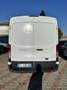 Ford Transit Bianco - thumbnail 5