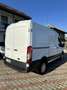 Ford Transit Bianco - thumbnail 6