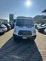 Ford Transit Bianco - thumbnail 2