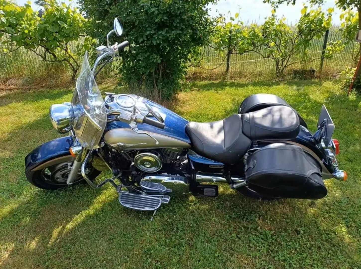 Kawasaki VN 1600 Bleu - 2