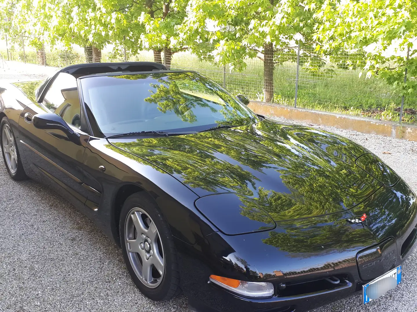 Chevrolet Corvette C5 Schwarz - 2