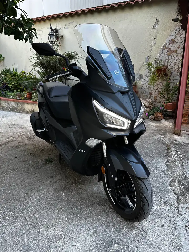 Sym Joymax 300