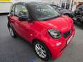 smart forTwo fortwo coupe twinamic passion Klima,Sh,Cool&Audio Rot - thumbnail 3