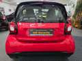 smart forTwo fortwo coupe twinamic passion Klima,Sh,Cool&Audio Rot - thumbnail 10