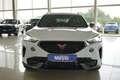 CUPRA Formentor 2.0TDI DSG 4Drive 18*Alu/ACC/LED/Kamera    ** Blanc - thumbnail 2