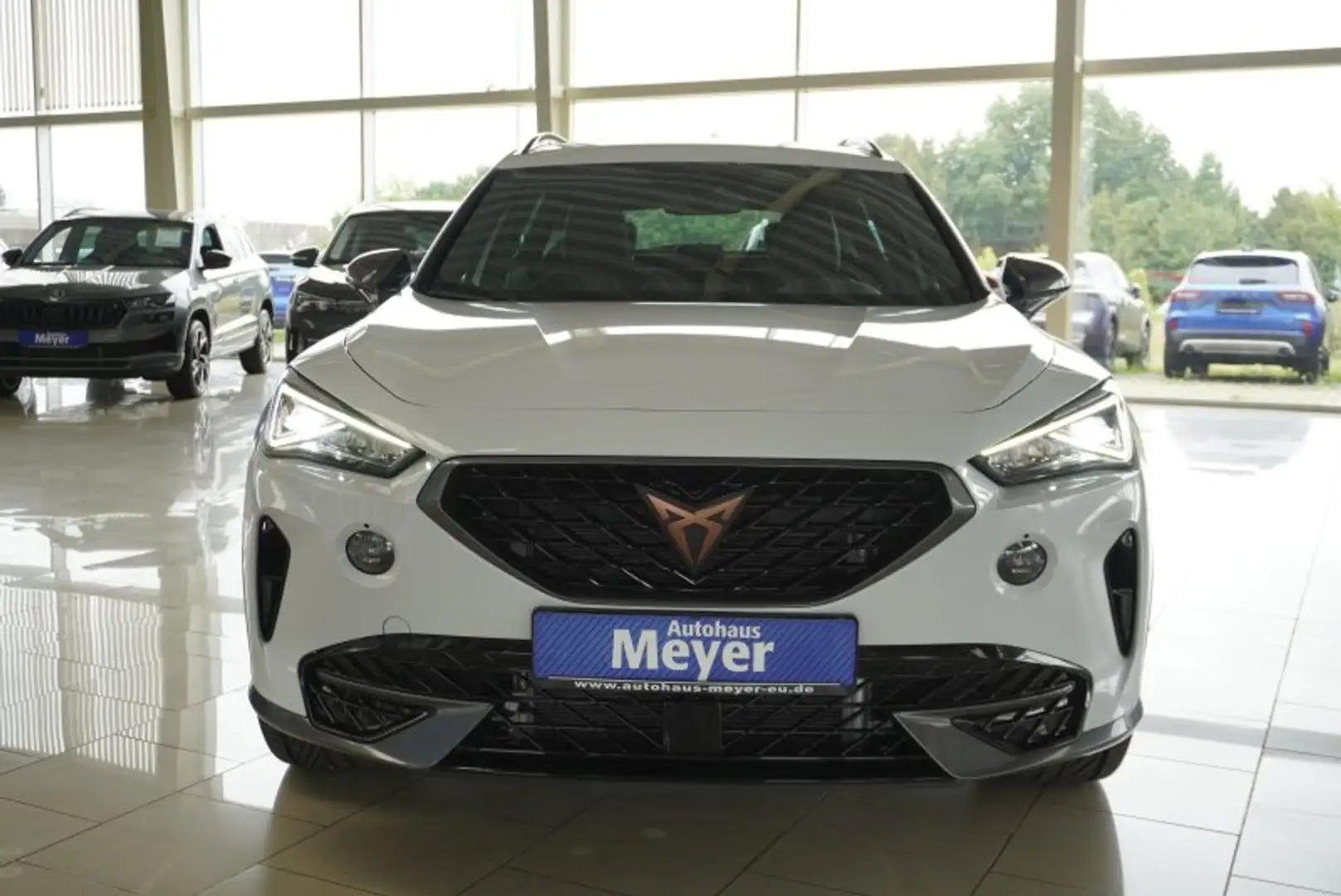 CUPRA Formentor 2.0TDI DSG 4Drive 18*Alu/ACC/LED/Kamera    ** Blanc - 2