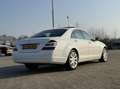 Mercedes-Benz S 350 Weiß - thumbnail 39