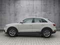Audi Q3 Q3 2,0 TDI Design quattro Weiß - thumbnail 3