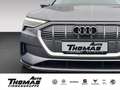 Audi e-tron 50 quattro advanced SHZ Klima Grau - thumbnail 1