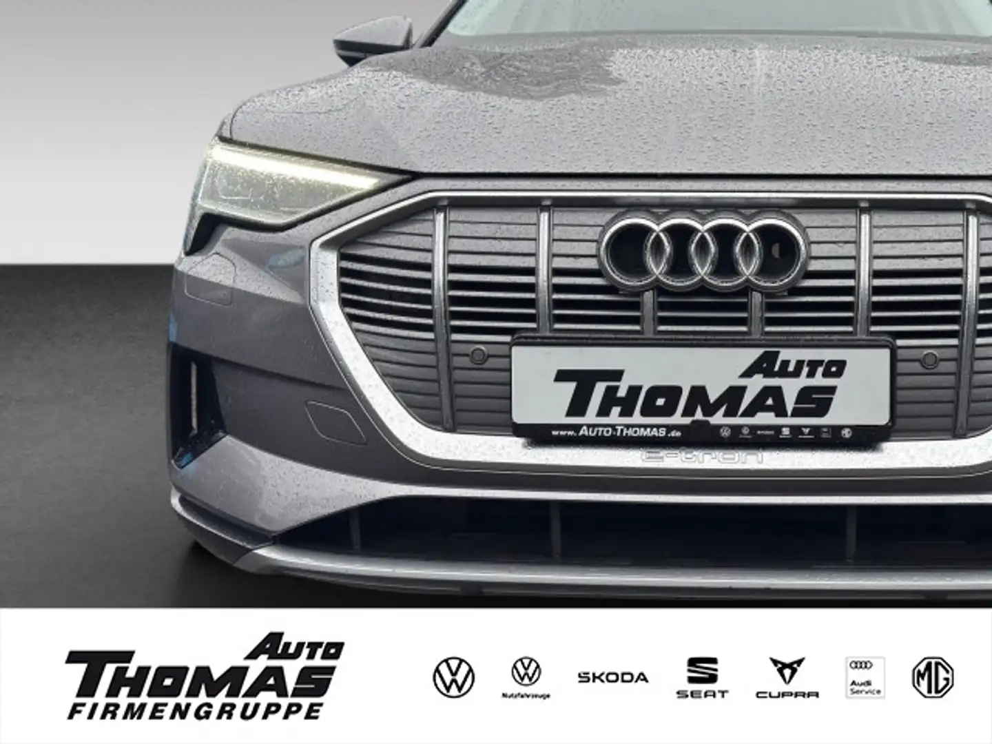 Audi e-tron 50 quattro advanced SHZ Klima Grau - 1