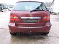 Mercedes-Benz B 200 B 200 CDI Sport Edition - AHK Rot - thumbnail 7