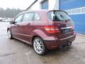 Mercedes-Benz B 200 B 200 CDI Sport Edition - AHK Rot - thumbnail 8