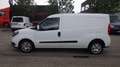 Fiat Doblo (Stock ID 31214) Weiß - thumbnail 4