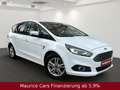 Ford S-Max Business *Adapt.LED*FERNLICHTASSIST*AHK Wit - thumbnail 2