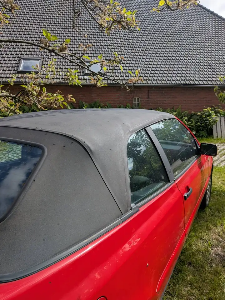 Volkswagen Golf Cabriolet 1.8, foto 10