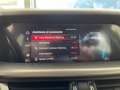 Alfa Romeo Stelvio Stelvio 2020 2.2 t Sprint Q4 190cv auto Bleu - thumbnail 13