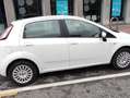 Fiat Punto Evo 5p 1.2 Active 65cv Bianco - thumbnail 3