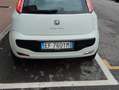 Fiat Punto Evo 5p 1.2 Active 65cv Bianco - thumbnail 1
