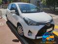Toyota Yaris 1.0 5 porte - OK NEOPATENTATI Blanco - thumbnail 1