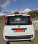 Fiat Panda 1.2 Easy 69cv - thumbnail 2