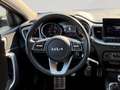 Kia Ceed SW / cee'd SW ceed SW 1,0 T-GDI GPF ISG Silber *Style Paket* Grün - thumbnail 14