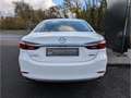Mazda 6 Sport HUD Navi Bose 360 Kamera LED ACC Apple CarPl Weiß - thumbnail 3
